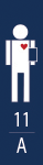 Adult +