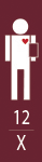 Large Adult +