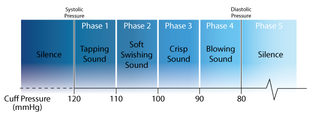 This chart shows the phases of Korotkoff sounds used to determine Systolic and Diastolic blood pressure.