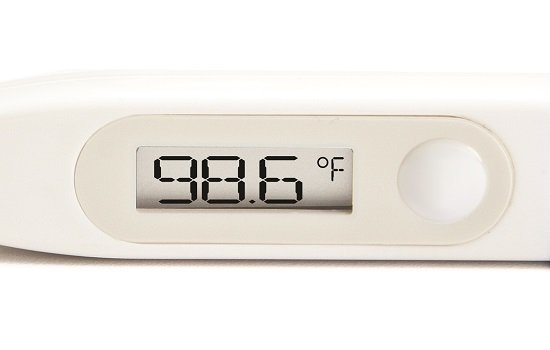 30-Second Oral Digital Stick Thermometer with Fahrenheit / Celsius